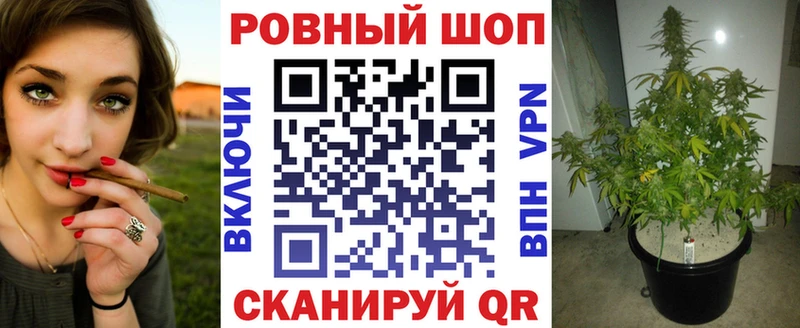 Где найти наркотики Нея МАРИХУАНА  СК  ГАШИШ  Галлюциногенные грибы  КОКАИН 