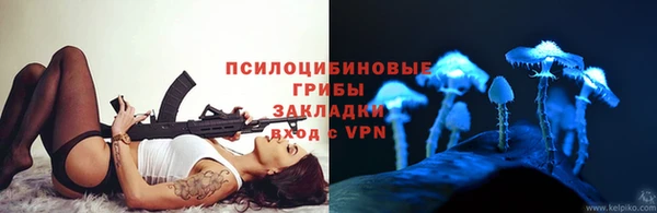 гашик Покачи
