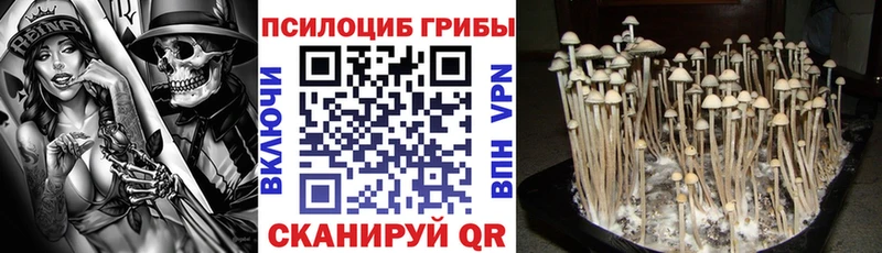 Псилоцибиновые грибы MAGIC MUSHROOMS наркотики Нея